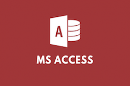 Ms access картинки