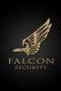 Logo firmy Falcon security
