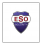 Logo firmy ESO Security