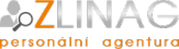 Logo firmy ZLINAG