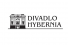 Logo firmy Divadlo Hybernia