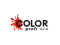 Logo firmy COLORprofi