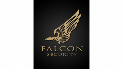 Falcon security